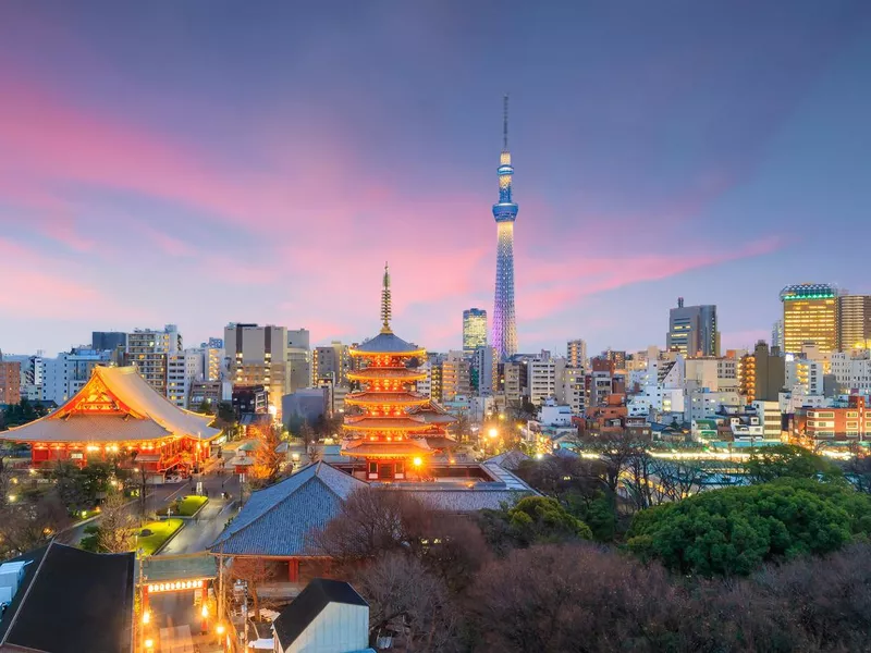 View of Tokyo skyline at sunset