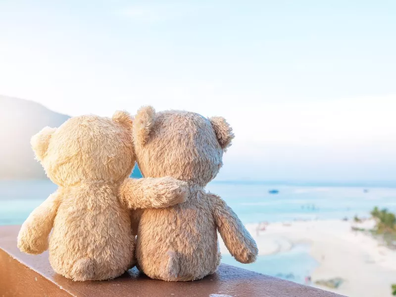 Traveling teddy bears