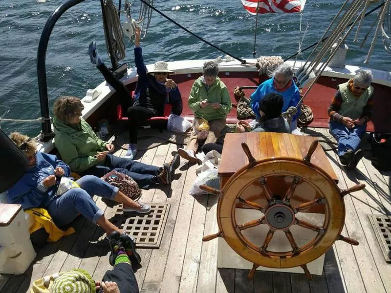 Knitting Cruises