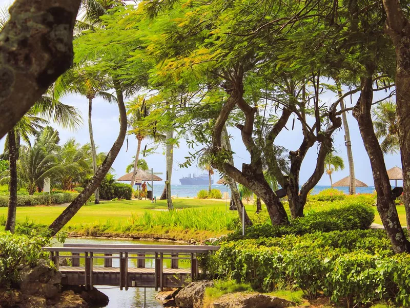 Green garden in Guam