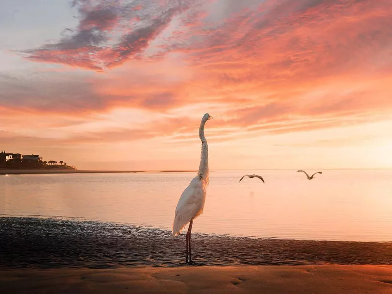 Charleston beach in South Carolina