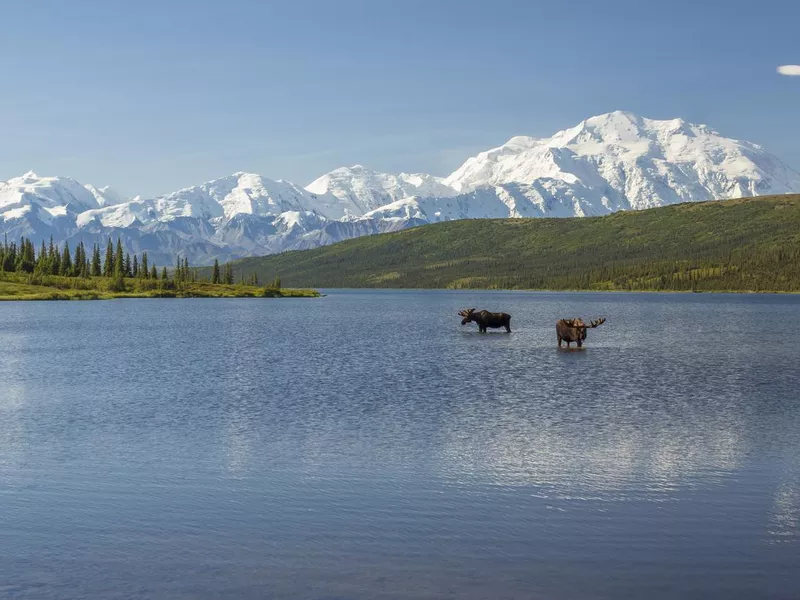 Wonder Lake in Denali