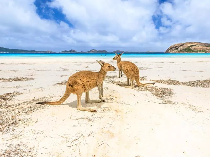 Lucky Bay